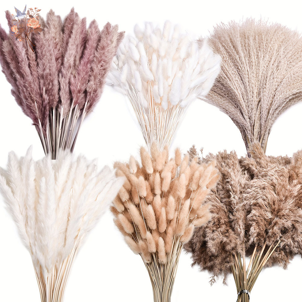 Pampas Grass Decor - 320 قطعة من زهور البامباس الكبيرة