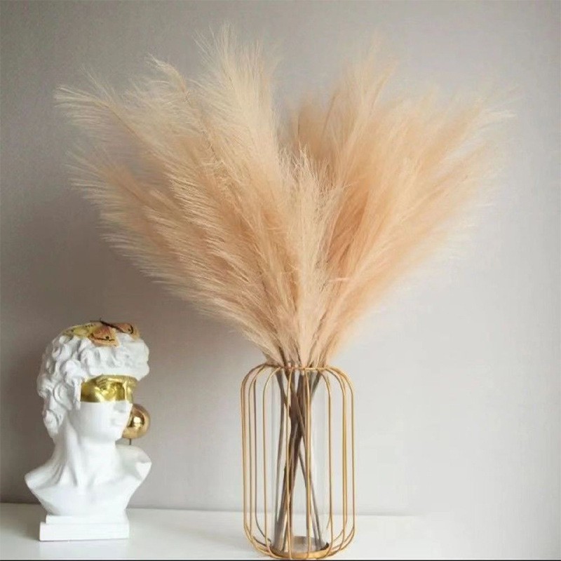 Pampas Grass Decor - عشب أبهى صناعي ، فروع بومباس
