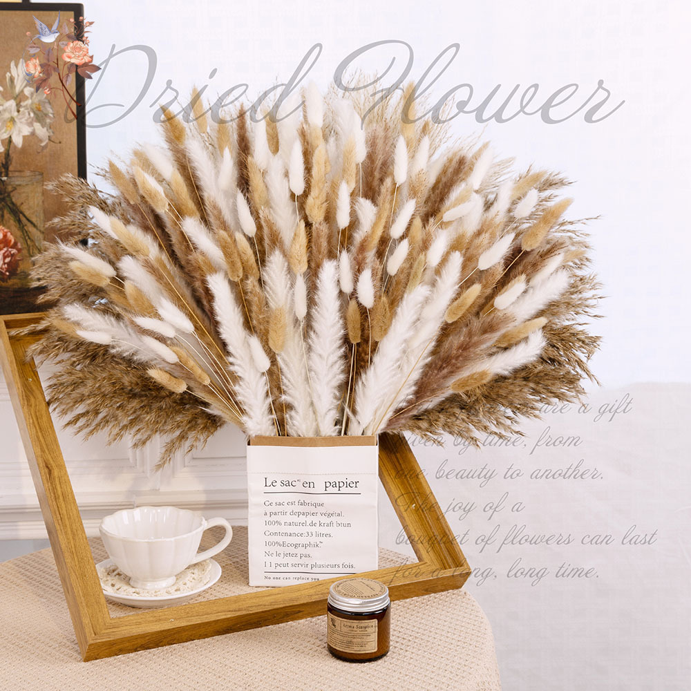 320 قطعة من زهور البامباس الكب - مراجعة Pampas Grass Decor وسعره