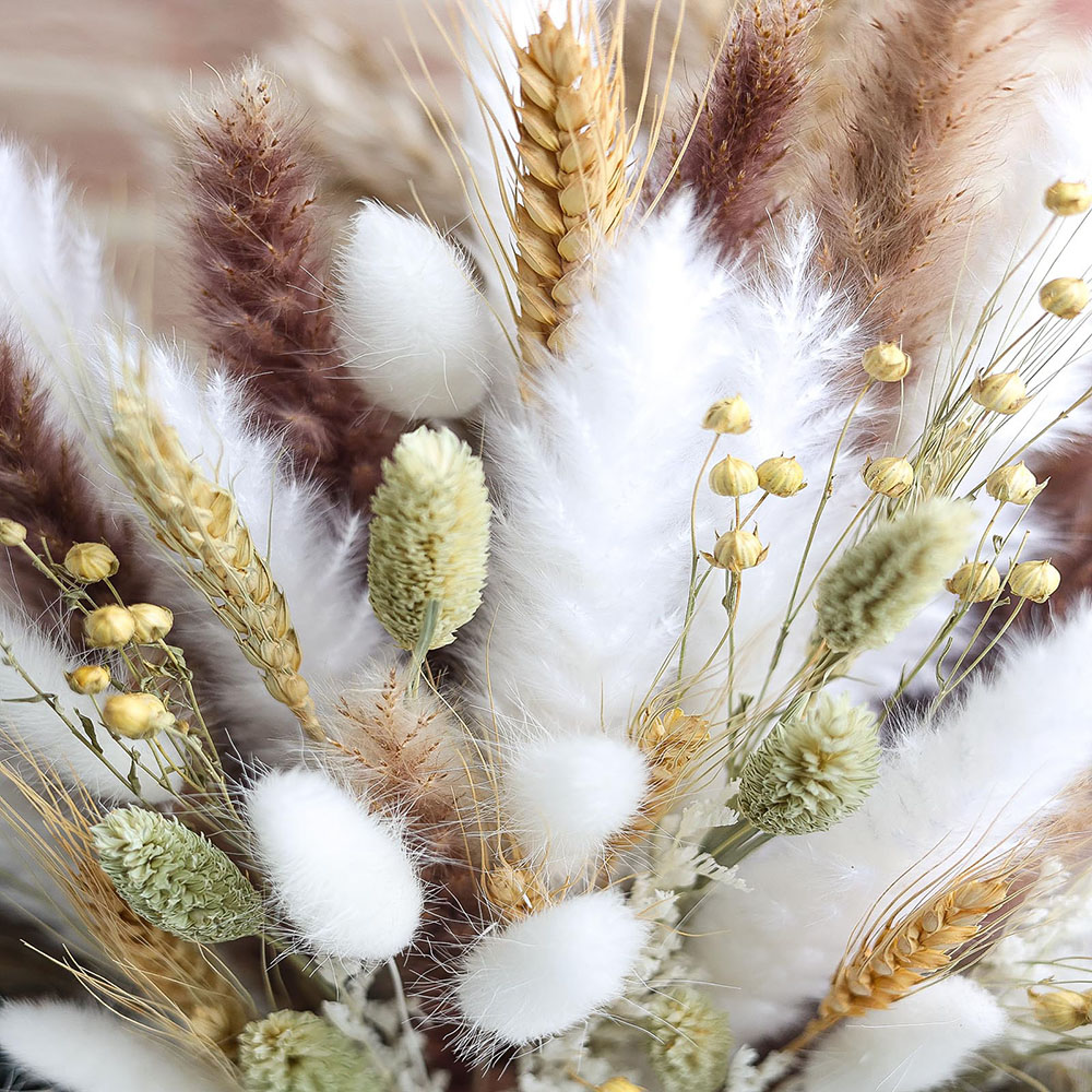 100 قطعة باقة عشب بامباس المجف - مراجعة Pampas Grass Decor وسعره