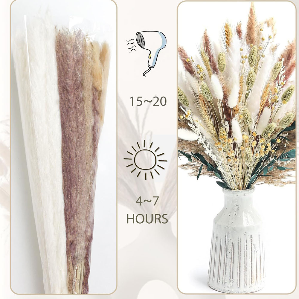 100 قطعة باقة عشب بامباس المجف - مراجعة Pampas Grass Decor وسعره
