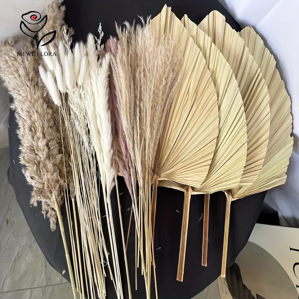 35 قطعة عشب بامباس الطبيعي بوه - مراجعة Pampas Grass Decor وسعره